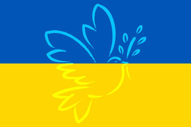 Appel à la solidarité nationale pour soutenir les populations ukrainiennes