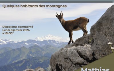 EXPOSITION / « Les habitants des montagnes » du 02 janvier au 02 février 2024 à la Médiathèque