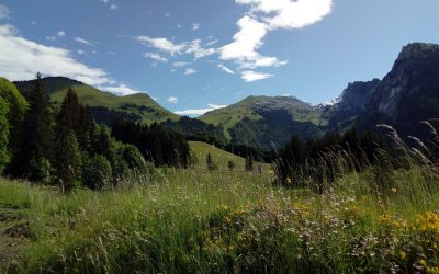 Marché de travaux : réfection piste de la Golèse – Publication jusqu’au 25/03/2024
