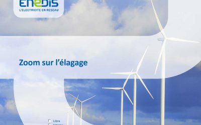 Campagne d’élagage sur la commune par ENEDIS
