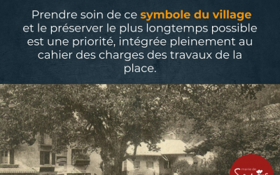 Prendre soin du Gros Tilleul