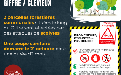 Coupe de bois sanitaire entre le Giffre et le Clévieux